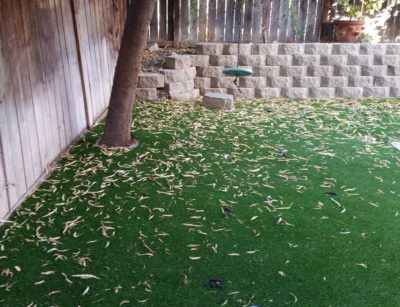 Leaves on Artificial Turf