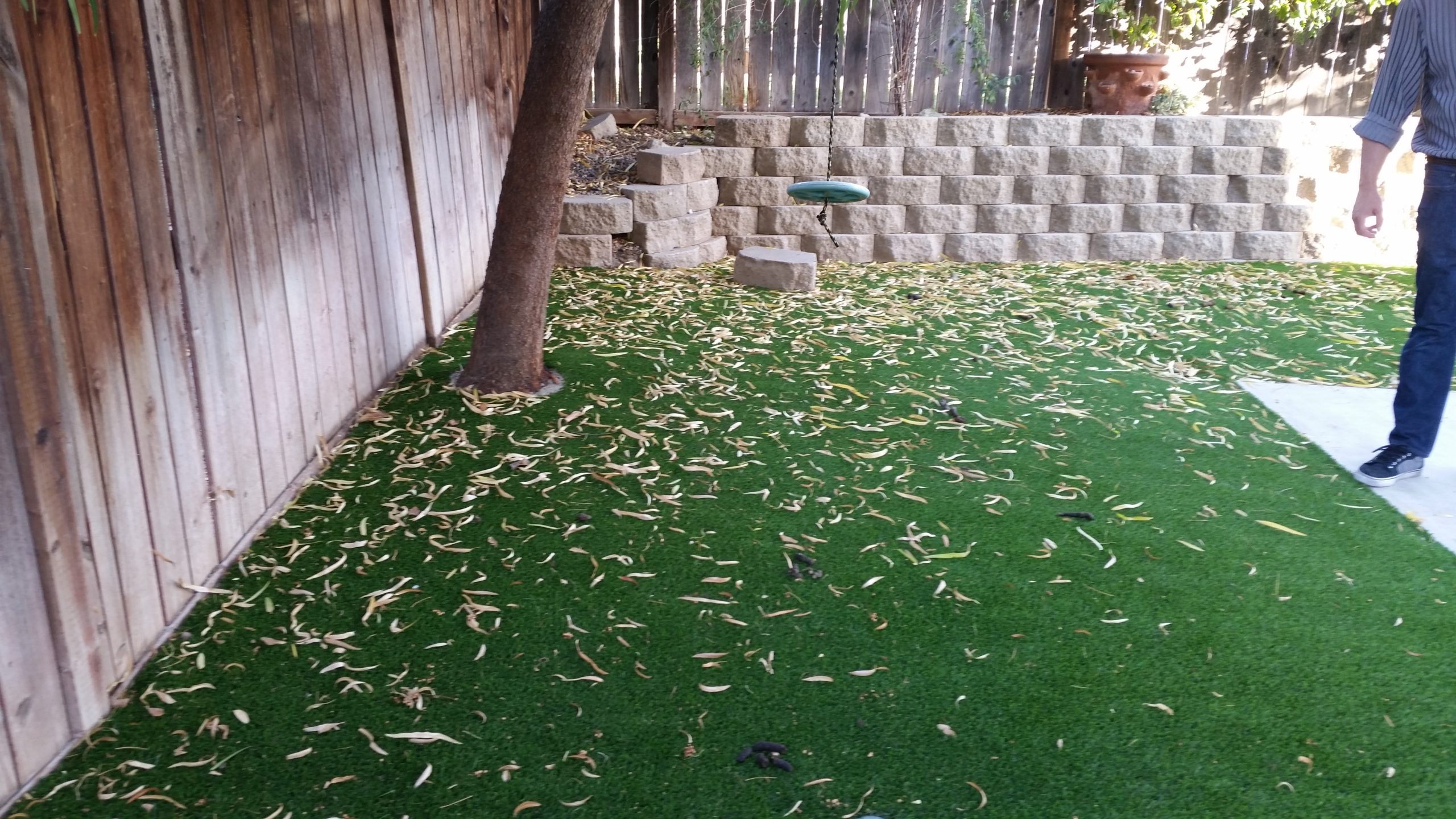 Leaves on Artificial Turf