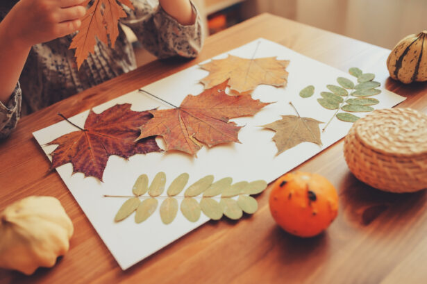 autumn crafts