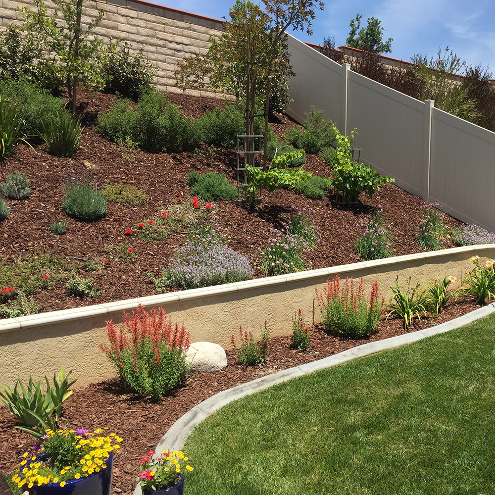 Safe landscaping tips and layouts.